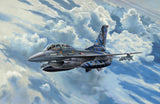 REVELL F-16D tigermeet 2014