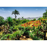 Puzzel 1000 Botanical Garden