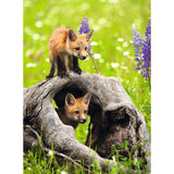 Puzzel 300XXL Schattige Vosjes