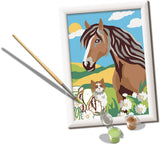 SON: Paard Poesje