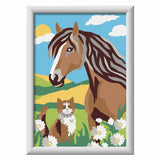 SON: Paard Poesje
