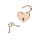 TOPModel dagboek met geheime pen