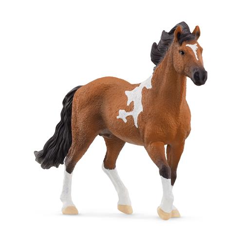SCHLEICH mangalarga hengst