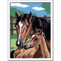 SON: Foaling Around