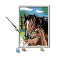 SON: Foaling Around