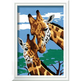 SON: Cute Giraffes