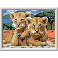SON: Little Lion Cubs