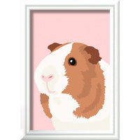 SON: Guinea Pig