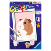 SON: Guinea Pig