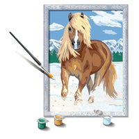 SON: The Royal Horse