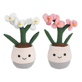 Take Me Home plant pluche orchidee