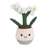 Take Me Home plant pluche orchidee