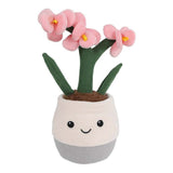 Take Me Home plant pluche orchidee