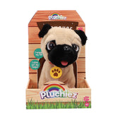 Pluchiez fr. bulldog frankie b