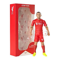 Socker Liverpool Virgil Van Dijk