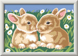 SON: Fluffy Bunnies