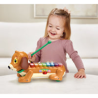 Vtech Baby Timmie Teckel Xylofoon