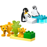 LEGO 10442 DUPLO Families van wilde dieren: pingu?Ã?¯ns en leeuwen