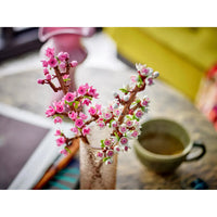 40725 Cherry Blossoms