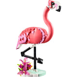 Wilde dieren: roze flamingo