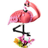 Wilde dieren: roze flamingo