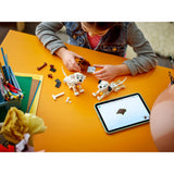 43271 Lucky en Penny uit 101 D