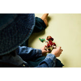 76970 babydinosaurus aquilops