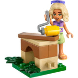 30697 Nova's hondenhuis bouwen