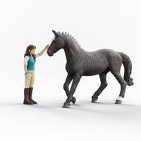 SCHLEICH horse club lisa & storm