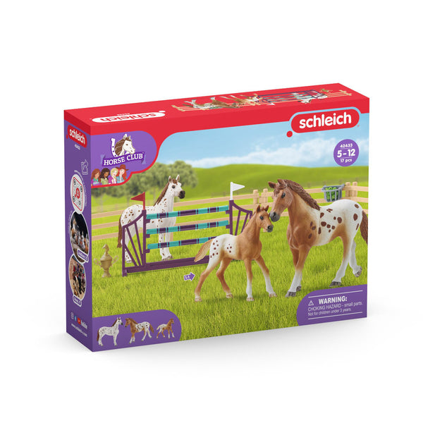 SCHLEICH Toernooi trainingsset 42433