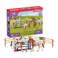 SCHLEICH Toernooi trainingsset 42433