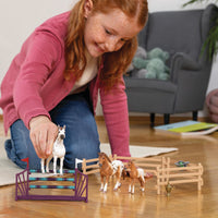 SCHLEICH Toernooi trainingsset 42433