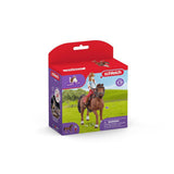 SCHLEICH Hannah & cayenne 42539