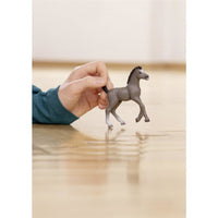SCHLEICH Selle francais-veulen