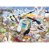 (4x500) RSPB: Wings in the Wil