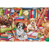 1000 Shaggy Dog Story