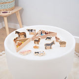 Tickit Houten Domestic Animal Blocks Fsc 100% - Pk15