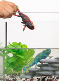 SCHLEICH Kameleon