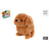 Take Me Home loophond bruin 15