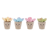 Take Me Home plant pluche S 4ass 13cm