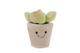 Take Me Home plant pluche S 4ass 13cm
