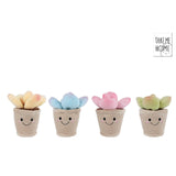 Take Me Home plant pluche S 4ass 13cm