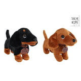 Take Me Home teckel S pluche 2ass 24cm