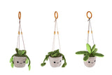 Take Me Home hang plant pluche L 3ass 24cm