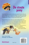 Manege zonnehoeve stoute pony