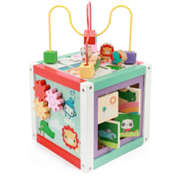 FP Activiteiten kubus 5 in 1