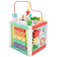 FP Activiteiten kubus 5 in 1