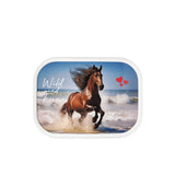 Lunchbox - wild horse