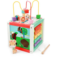 FP Activiteiten kubus 5 in 1