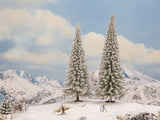 Noch 21965 Snowy Fir Trees